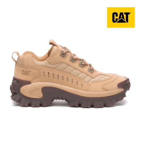 CAT Intruder Women's Sneakers Beige (AU B-895) Australia
